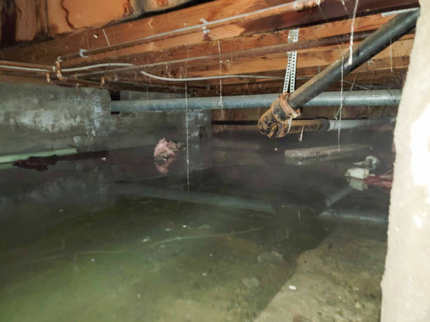 Best 24-hour water damage restoration  in Odell, OR