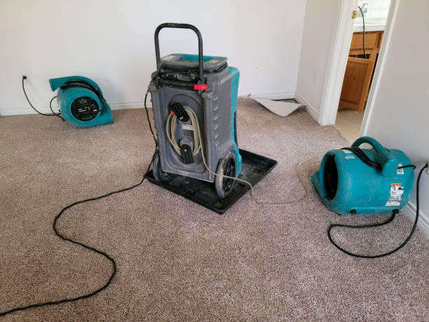 Best Carpet water damage restoration  in Odell, OR