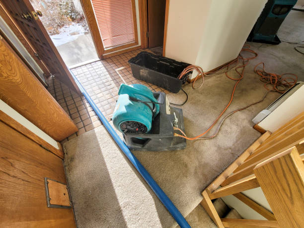 Best Water damage restoration experts  in Odell, OR