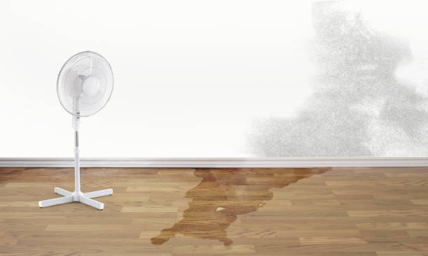 Best Residential water damage restoration  in Odell, OR