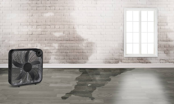 Best Basement water damage restoration  in Odell, OR
