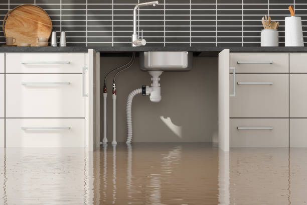 Best Flood damage cleanup  in Odell, OR